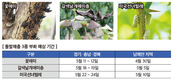 올해 돌발해충 부화 시기 평년보다 6~7일 빠르다
