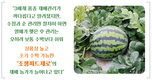 농우바이오 씨 없는 수박 ‘조생씨드제로’ 재배 확대