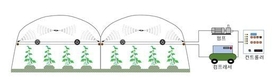 장마 뒤 불볕더위 속 온실 작물 재배 관리 유의