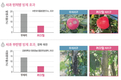 국내 최초 사과 부란병 방제 유기농업자재 ‘케이엠(K-M)’