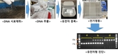 유전자 진단으로 생축 단계 돼지 육질 확인 가능