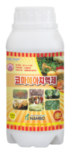 찬바람이 불어오는 가을 ‘노균병’ 주의보