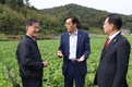 한훈 농식품부 차관, 김장용 가을배추 주산지 방문, 생육 상황 등 점검