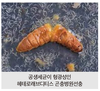 알기 쉬운 곤충기생선충 일문일답Ⅰ
