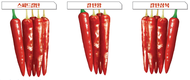 어려워진 재배환경, 고추 품종 당신의 선택기준은?