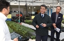 서효원 농촌진흥청 차장, 충남 금산 잎들깨 재배 현장 방문