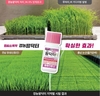 ‘경농팜닥터’ 키다리·마름증상을 모두 막는다
