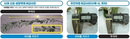 과수 수세 안정에는 ㈜경농 ‘비비풀’이 딱!