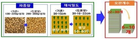 노동력 절감·생산성 높이는 벼 재배 기술 보급에 힘쓰겠습니다