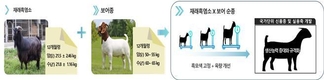 국가 주도 염소 신품종 개발 속도 내