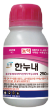 장마 후 고온기 찾아오면 악취 풍기며 퍼지는 '무름병'