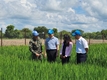 농촌진흥청, 남수단 한빛부대 벼 시험 재배 지원 강화