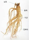 환절기에 딱! 선물용 ‘인삼’ 잘 고르고 보관하는 법