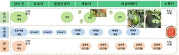 생육단계별 미생물제 맞춤 처리 “병해충 줄고 상품성 높아져”