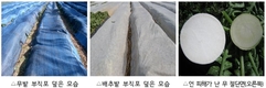 가을철 급격한 기온 저하 대비 “농작물 관리는 이렇게”