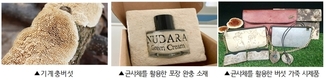 ‘버섯 포장재, 가죽’ 시장서 만난다, 민관 힘 모아 산업화
