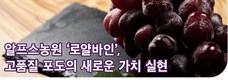 알프스농원 ‘로얄바인’, 고품질 포도의 새로운 가치 실현