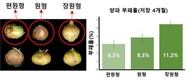 “양파 속 찍어보니 신선함이 보이네” 영상 기반 품질 예측 기술 개발