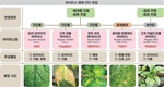 전문가가 말하는 살균제 ‘더’ 잘 쓰는법 ①