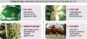 전문가가 말하는 살균제 ‘더’ 잘 쓰는법 ①