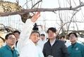 농촌진흥청, 과수화상병 예방 ‘겨울철 궤양 제거’ 당부
