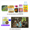 색, 맛, 향, 살균력을 가진 ‘황’
