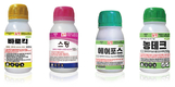 안전 농산물 생산 그 이상의 가치 실현 ‘아그리젠토’
