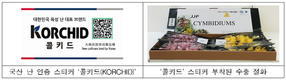 농진청, 농가와 함께 심비디움 품종·기술 검증...화훼 산업에 활력