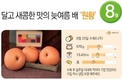 안정적인 배 농사 시작 “꽃가루 공급용 배나무 심으세요”