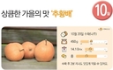 안정적인 배 농사 시작 “꽃가루 공급용 배나무 심으세요”