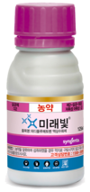 수확시기의 불청객 ‘잿빛곰팡이병’