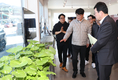 농촌진흥청 기술이전 연간 1,300건…특용작물 육묘 수직농장 주목