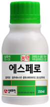 원예에서 가장 다루기 어려운 해충 ‘총채벌레’