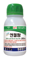 원예에서 가장 다루기 어려운 해충 ‘총채벌레’