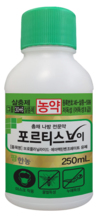 원예에서 가장 다루기 어려운 해충 ‘총채벌레’