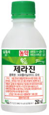 원예에서 가장 다루기 어려운 해충 ‘총채벌레’