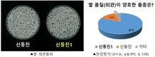 농촌진흥청, ‘신동진’ 명성 이어갈 ‘신동진1’ 개발