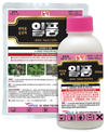 과수농가의 재앙 화상병을 줄이기 위한 첫걸음