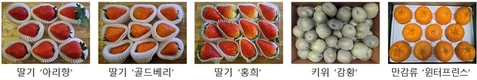 ‘신품종 과일’ 수출 기술로 싱가포르서 신선한 매력 뽐내