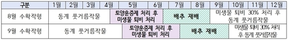 고랭지 배추 반쪽시들음병 이렇게 방제하세요