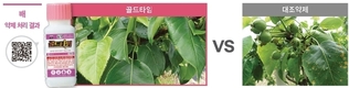 봄철, 검은별무늬병 경보가 울린다