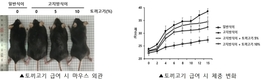 토끼고기 항비만·지방간 개선 효과, 동물실험으로 입증