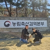 은퇴 검역탐지견 ‘국화’, “제2의 견생 시작”