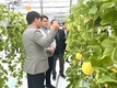 참외 스마트 팜 연구, 중앙-지방 협업으로 속도 내