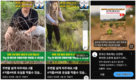 온라인 해외 직구 농약 판매 논란
