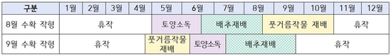 강원 고랭지 배추밭 해충 방제 강화…여름배추 안정 생산 총력
