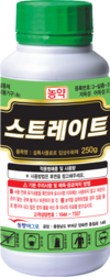 기후변화로 매년 빨라지는 돌발해충 부화시기