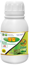 기후변화로 매년 빨라지는 돌발해충 부화시기