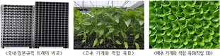 손으로 심던 밭작물, ‘기계’로 심어 농촌 일손 부족 해소한다