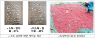 콩 농사, 종자 준비부터 심기까지 이렇게 준비